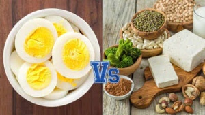 Plant-Based Power: 20 Vegetarian Foods Packing More Protein Than an Egg