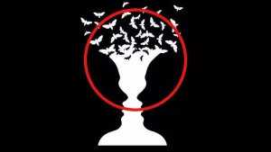 Optical illusion personality test: Vase or faces? What you see first reveals if you are creative or logical