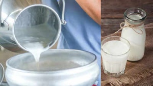 Headline: Raw Milk Health Alert: Risks of Bacterial Infections, Foodborne Illnesses, and Vulnerable Groups at Increased Danger