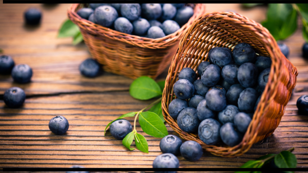 Blueberries: Small fruits, big antioxidant power