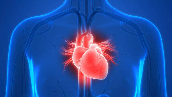 Healthy Heart