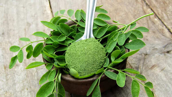 Moringa powder antioxidant boost