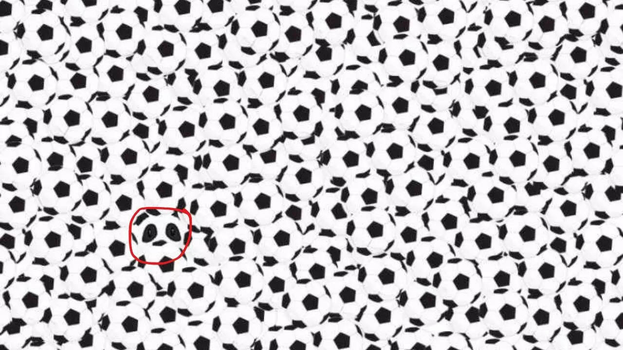 Optical Illusion Answer